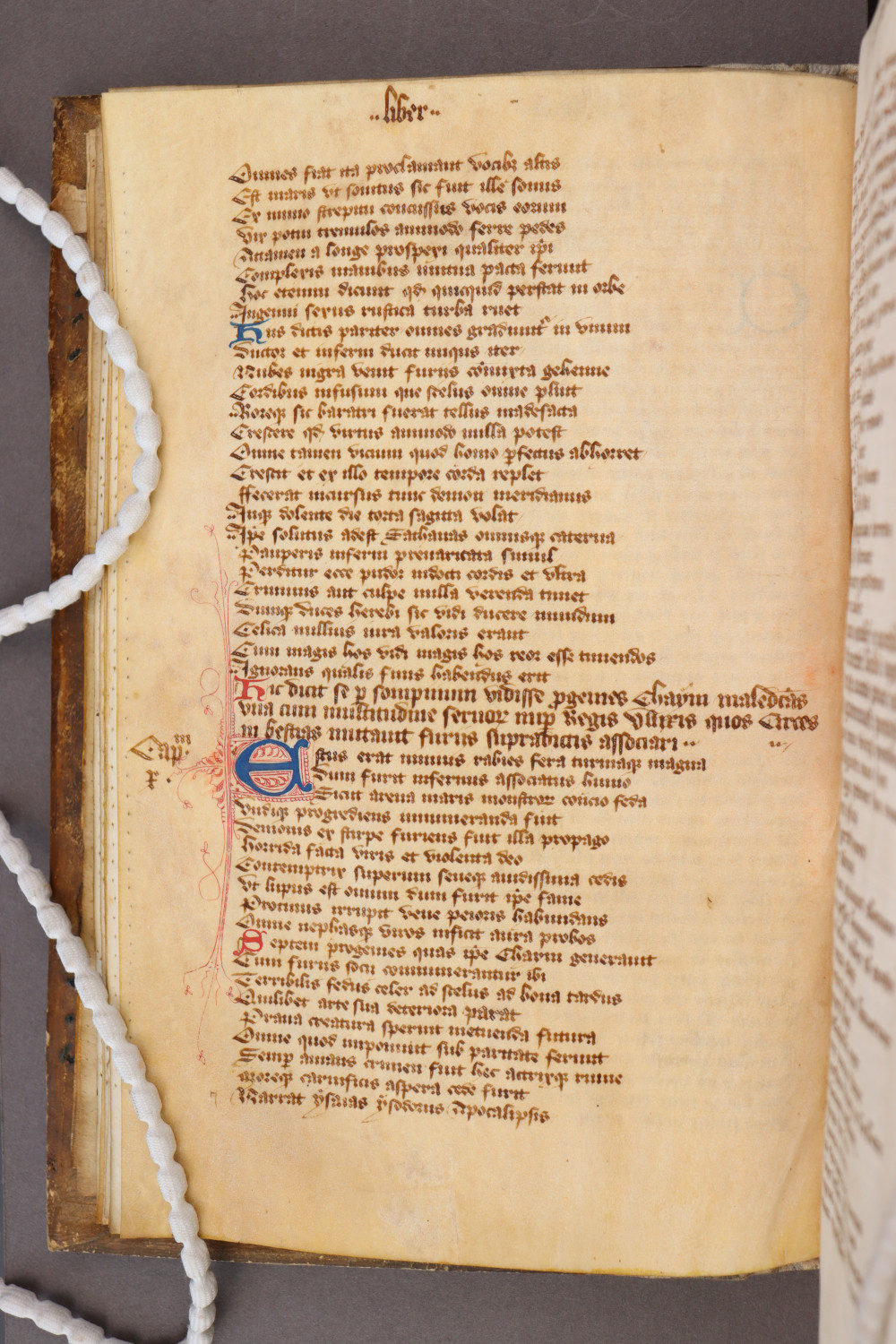 Folio 13 verso